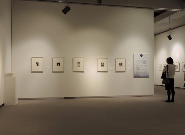 20160313 064 - 展示 1 小