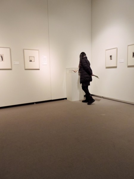 20160313 067 - 展示2 小